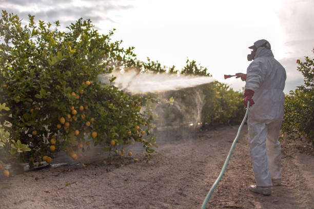 Best Pest Removal Services  in Cornwall, PA